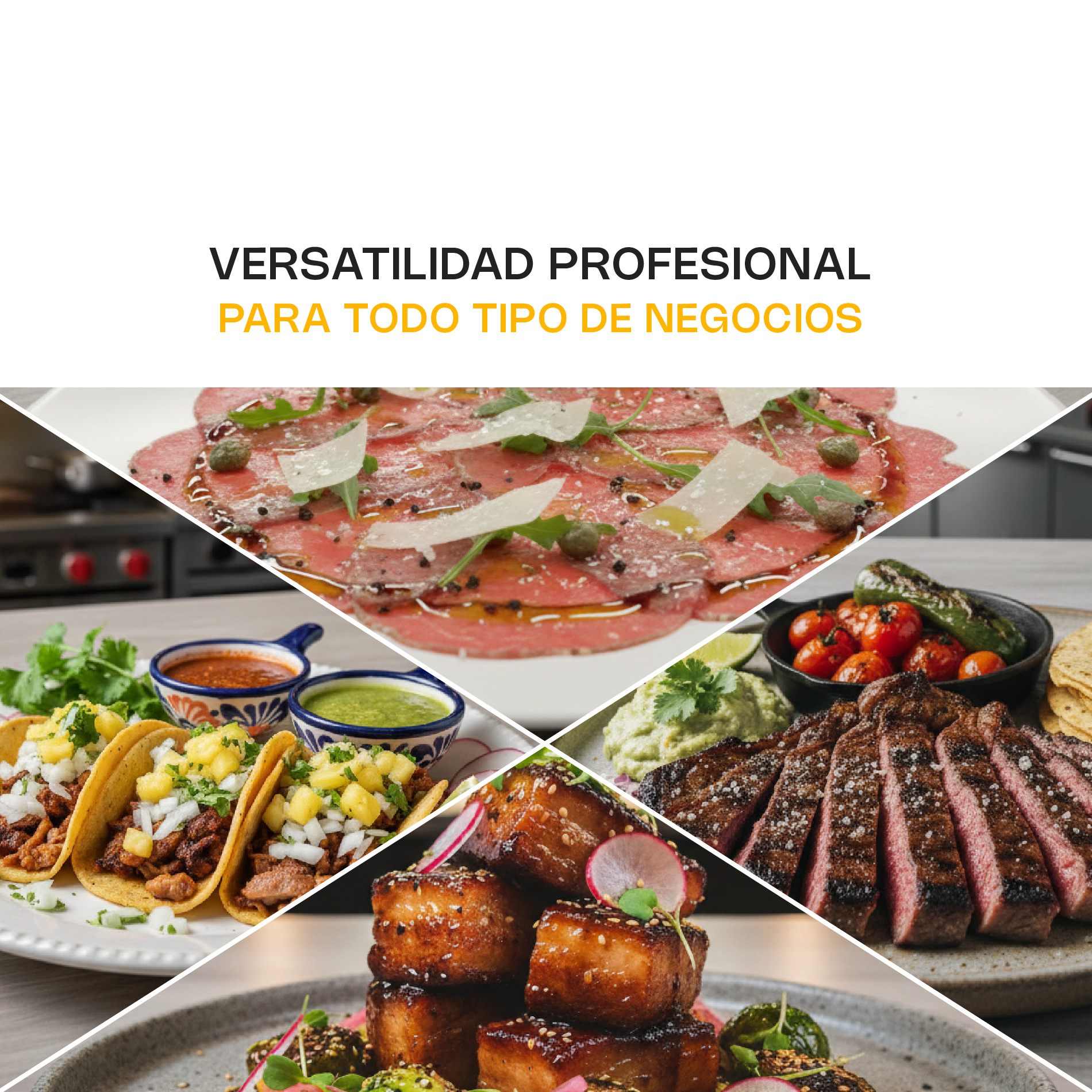 rebanadora de carne semi congelada 350 mm rebanadora de carne semi congelada 350 mm