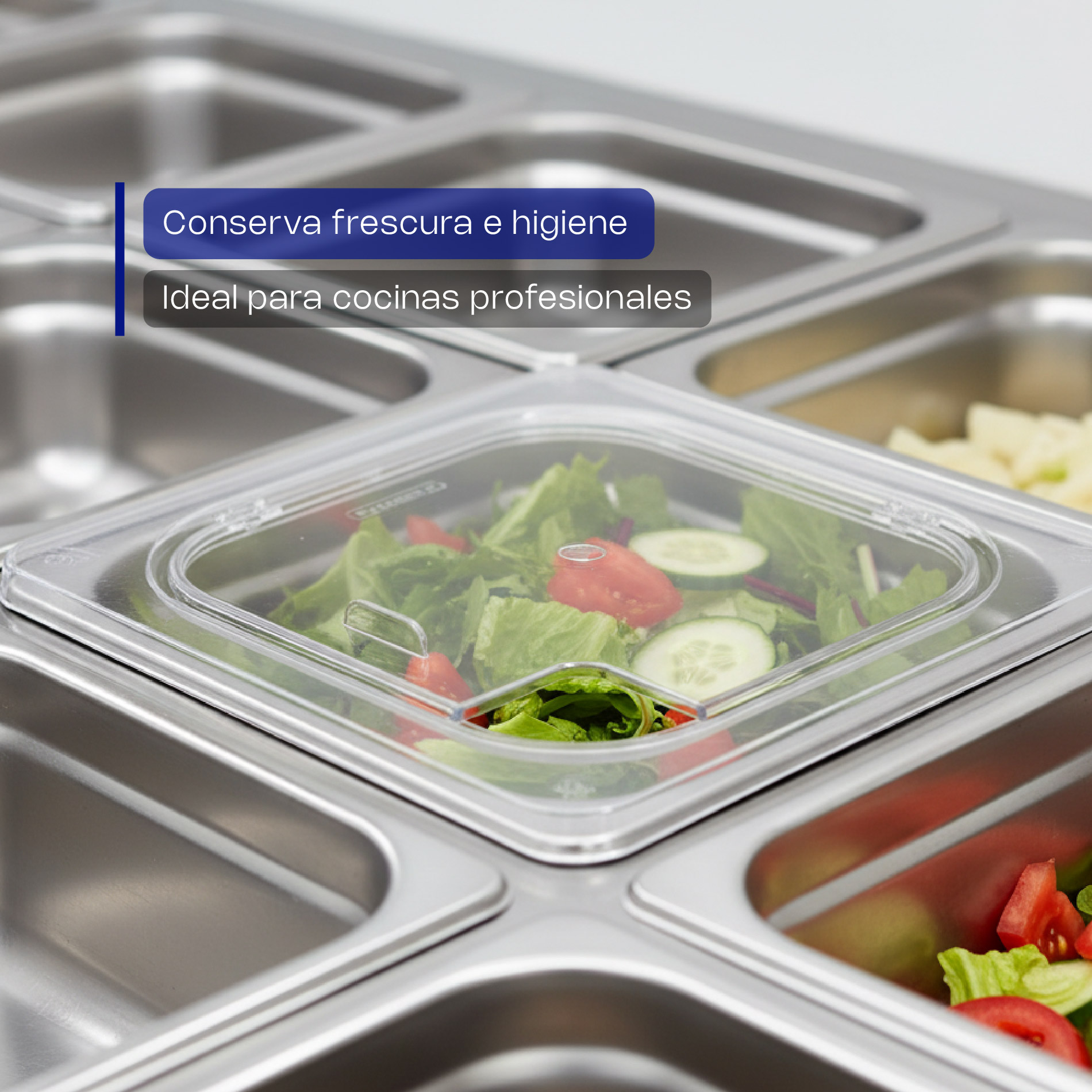 tapa con bisagra para inserto inox sexto tapa con bisagra para inserto inox sexto